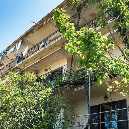 Vangelis 2 Guest house Angon