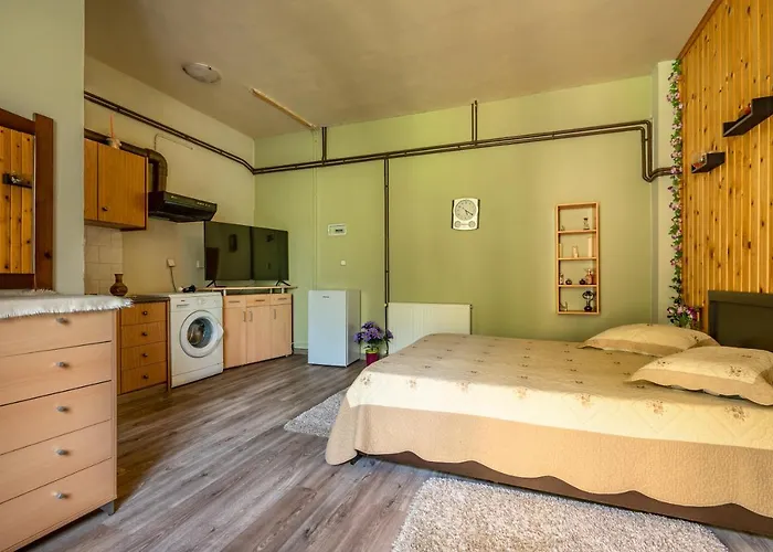 Vangelis 2 Pensionat 3*